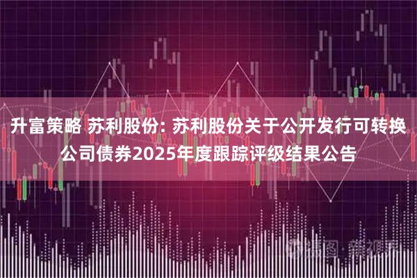 升富策略 苏利股份: 苏利股份关于公开发行可转换公司债券2025年度跟踪评级结果公告