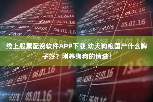线上股票配资软件APP下载 幼犬狗粮国产什么牌子好？刚养狗狗的请进！
