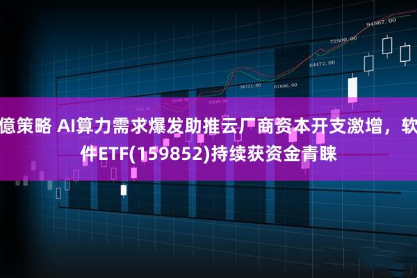 億策略 AI算力需求爆发助推云厂商资本开支激增，软件ETF(159852)持续获资金青睐