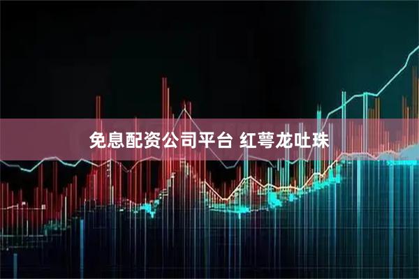 免息配资公司平台 红萼龙吐珠