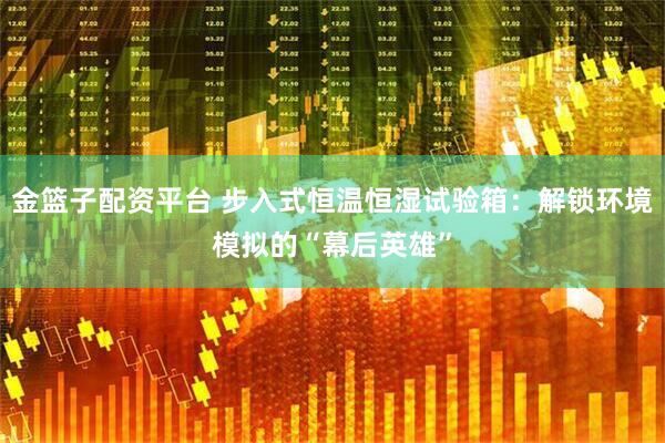 金篮子配资平台 步入式恒温恒湿试验箱：解锁环境模拟的“幕后英雄”