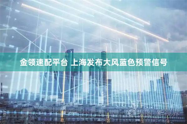 金领速配平台 上海发布大风蓝色预警信号
