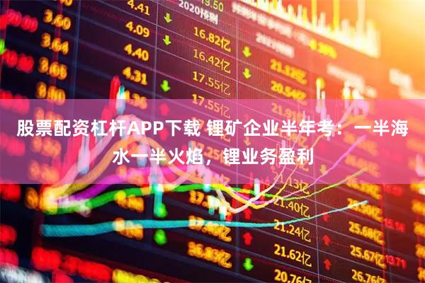 股票配资杠杆APP下载 锂矿企业半年考：一半海水一半火焰，锂业务盈利