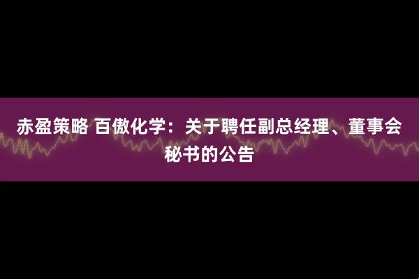 赤盈策略 百傲化学：关于聘任副总经理、董事会秘书的公告