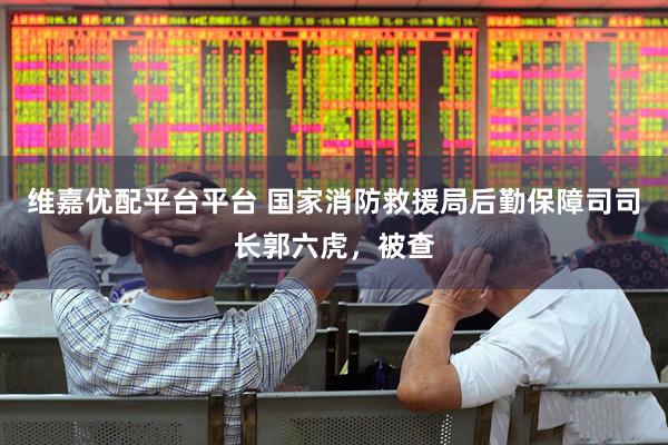 维嘉优配平台平台 国家消防救援局后勤保障司司长郭六虎，被查